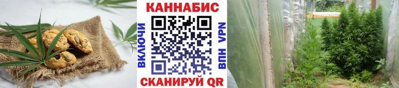 как найти   Учалы  Еда ТГК конопля 