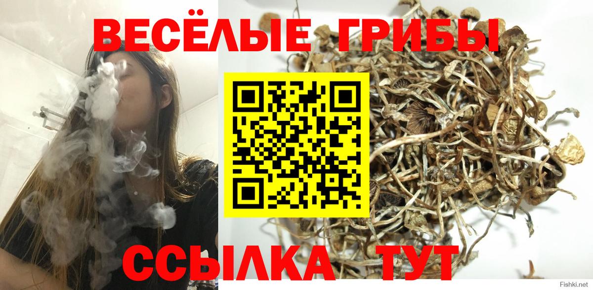 Псилоцибиновые грибы Psilocybine cubensis Учалы