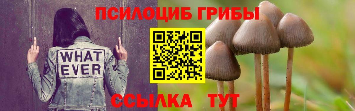 Псилоцибиновые грибы мицелий  где продают   Учалы  Галлюциногенные грибы Magic Shrooms  Вход с VPN 