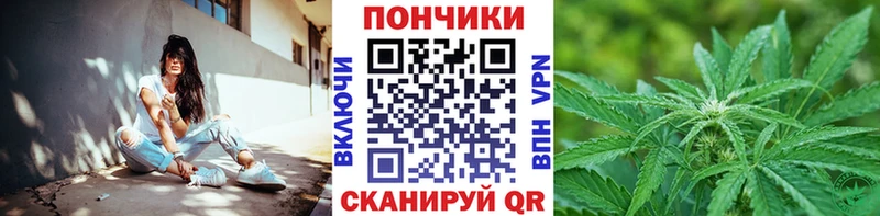 Бошки Шишки SATIVA & INDICA наркотики Учалы
